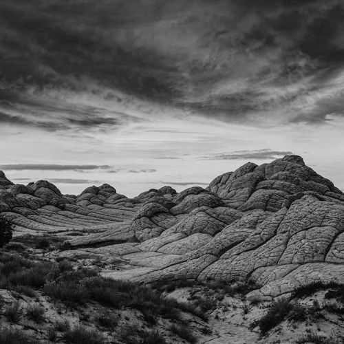 Desert landscape